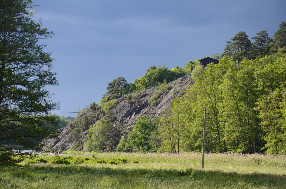 Hammarbergets naturreservat