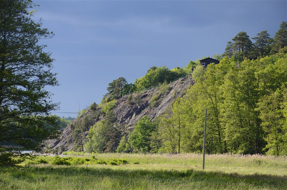 Hammarbergets naturreservat