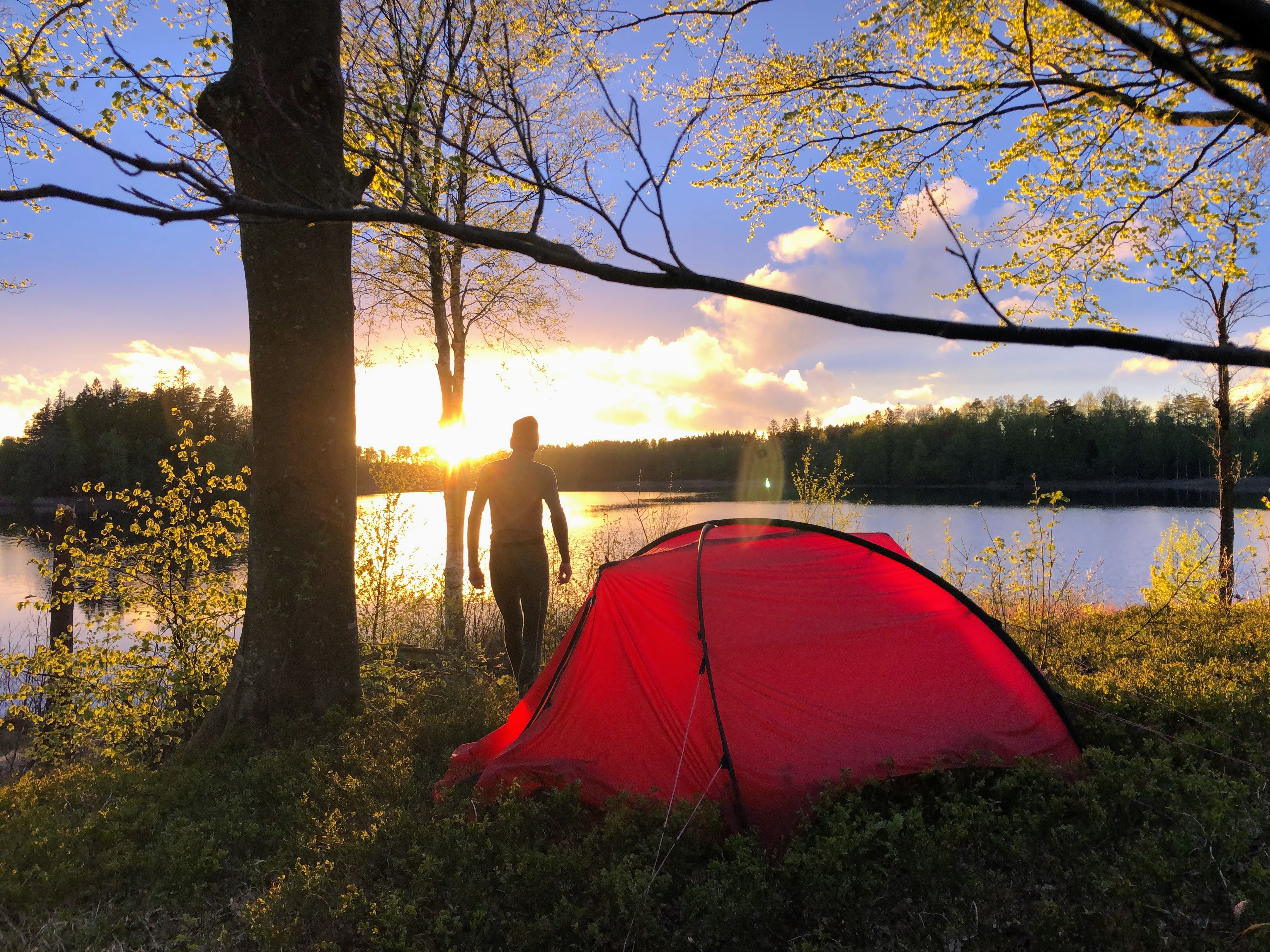 9 miljoner naturturister behöver digital vägledning för hållbara upplevelser