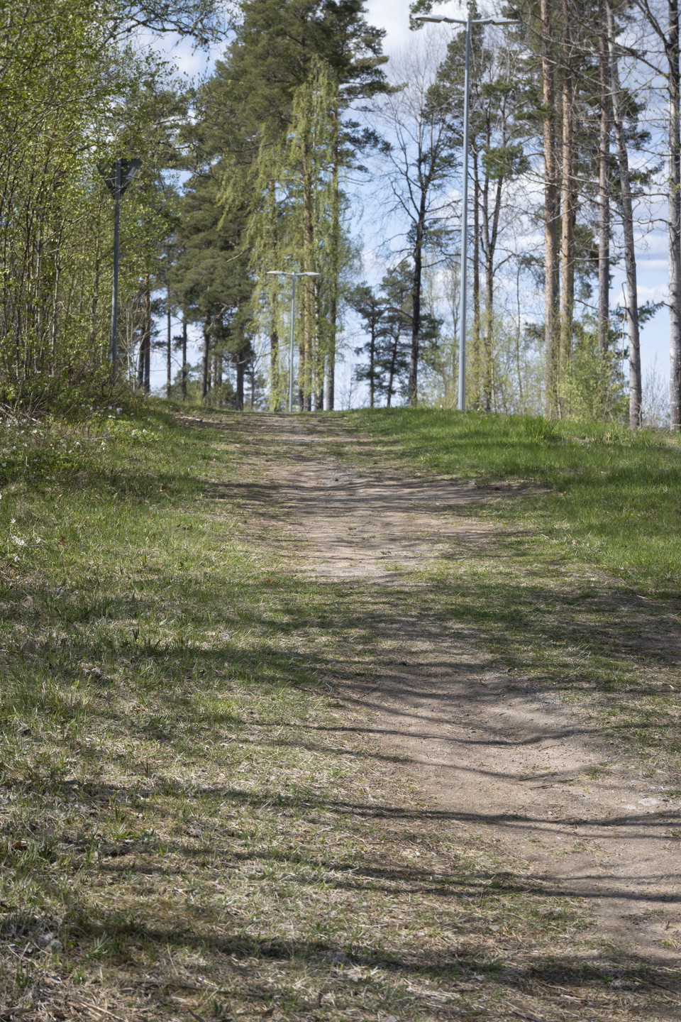 Bred stig i blandskog.