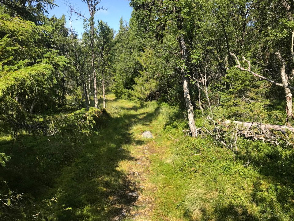 Led mot Arådalen