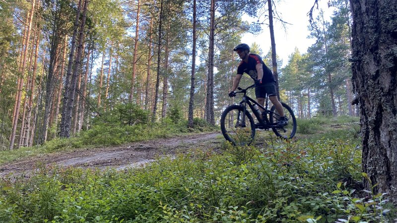 MTB-spåret i Hallstahammar bjuder ett härligt single-track spår i skogsterräng