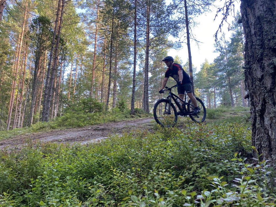 MTB-spåret i Hallstahammar bjuder ett härligt single-track spår i skogsterräng