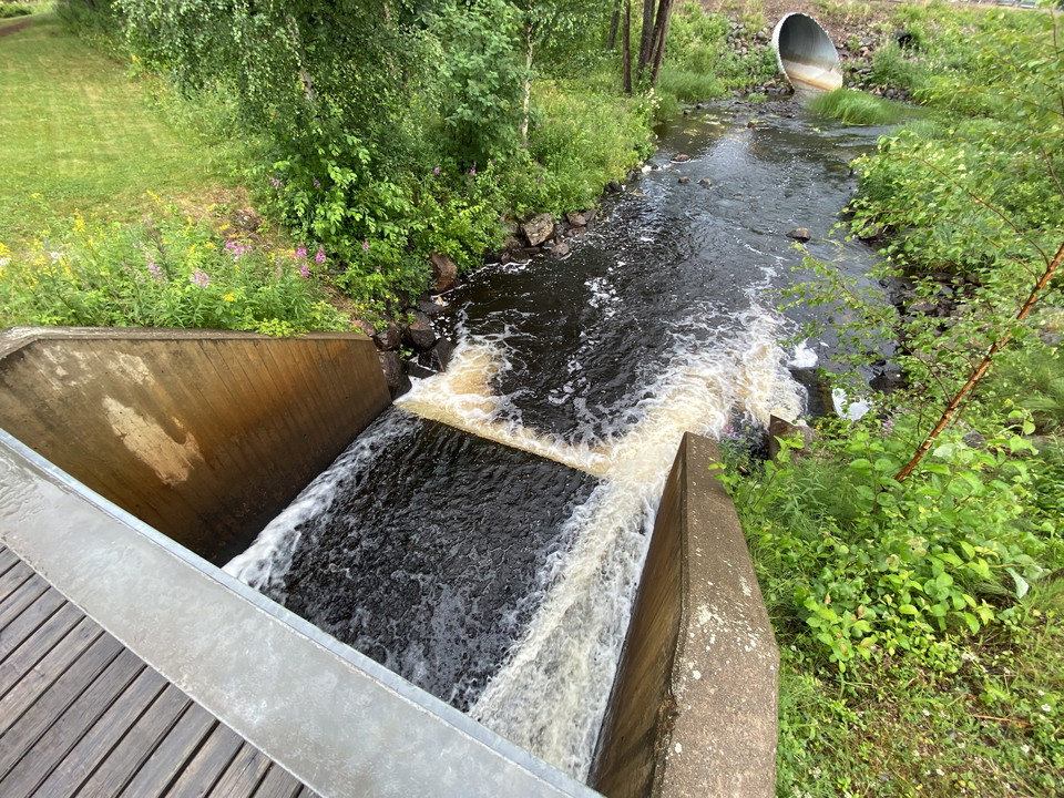 Dammen intill badplatsen