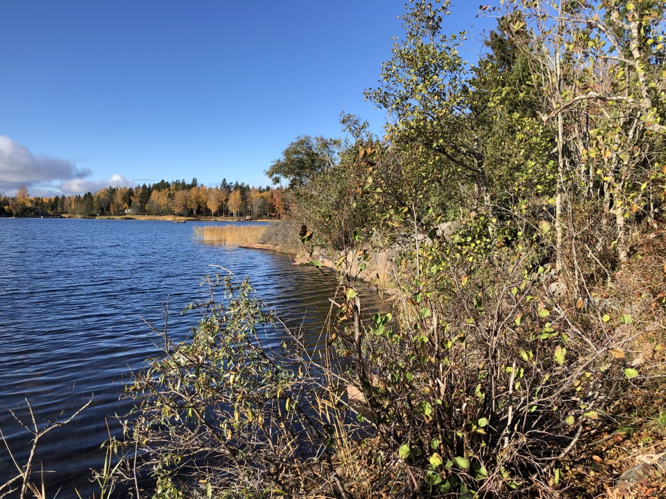 Gränskärets naturreservat