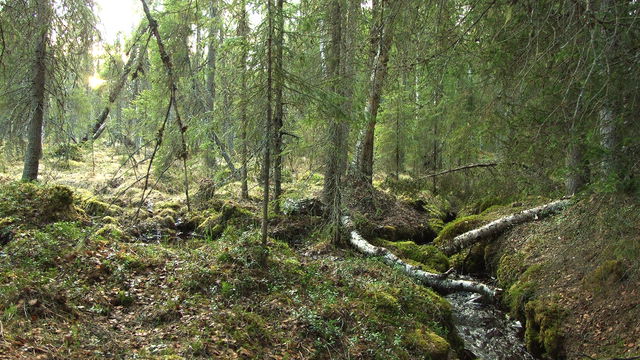 Långlandet