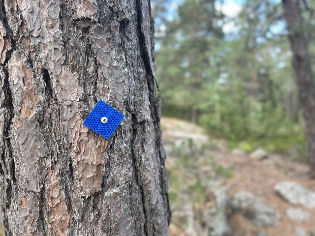 Blå slingan Nyckelviken