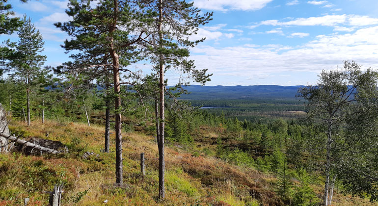 Länsstyrelsen dalarna