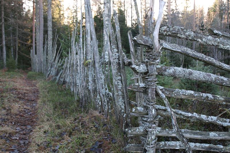 Turperler: Hylliåsen, Spydeberg