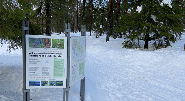 En av lederna i Ormberget-Hertsölandet.
