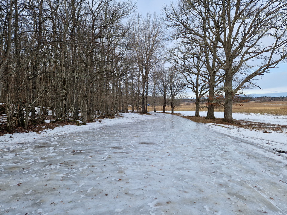 Väg täckt av blank, tjock is. Vägen är kantad av nakna lövträd.