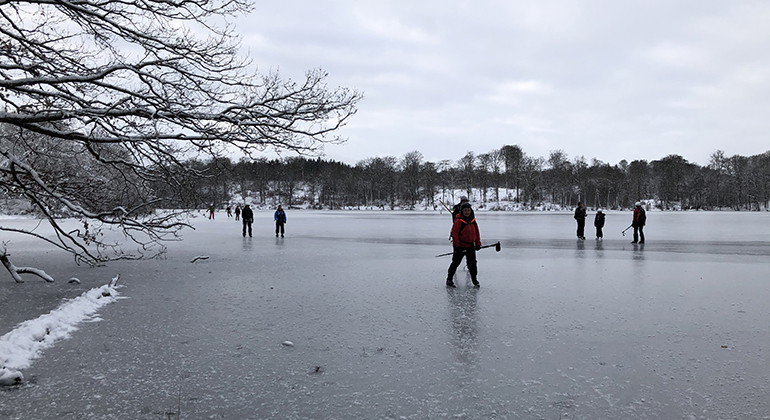 Skridskois på Dagstorpssjön.