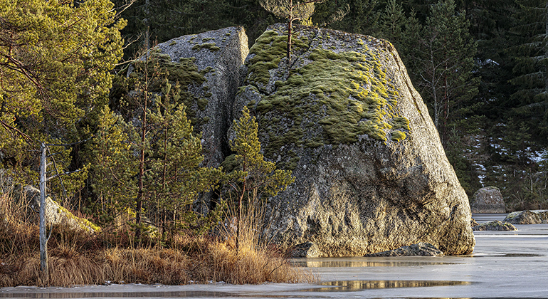 Kroksjön i Kroksjöskogen.