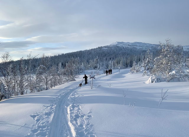 121 Vackermorundan (vinterled, Edsåsdalen)