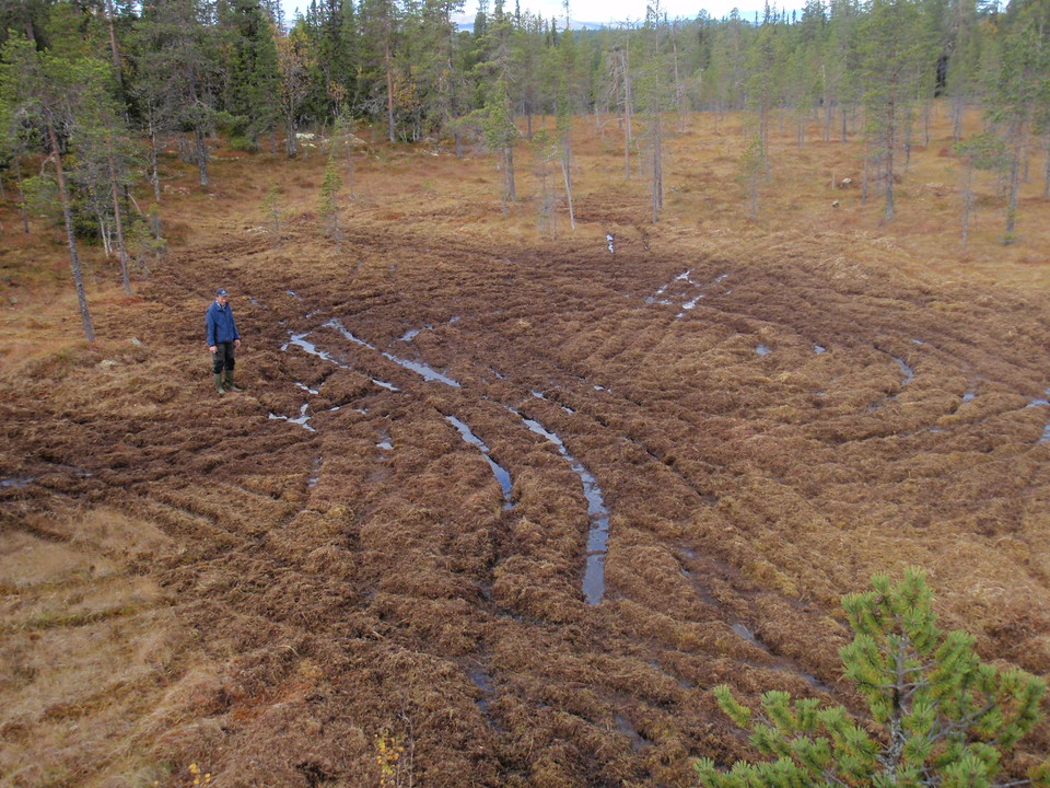 Fyrhjulingar och motorcyklar oftast förbjudna i terrängen