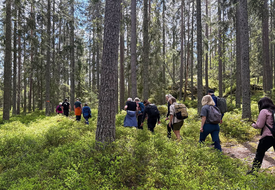 Många besökare på en gång kan slita på miljön. …