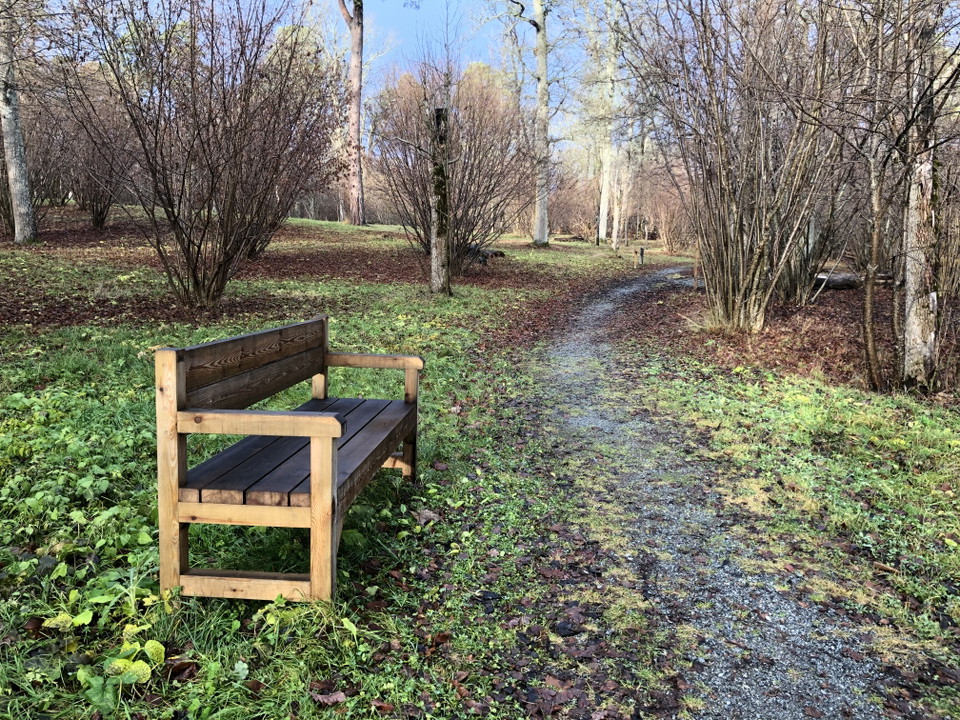 En smal promenadstig går genom en park. Vid stigen står en sittbänk. 