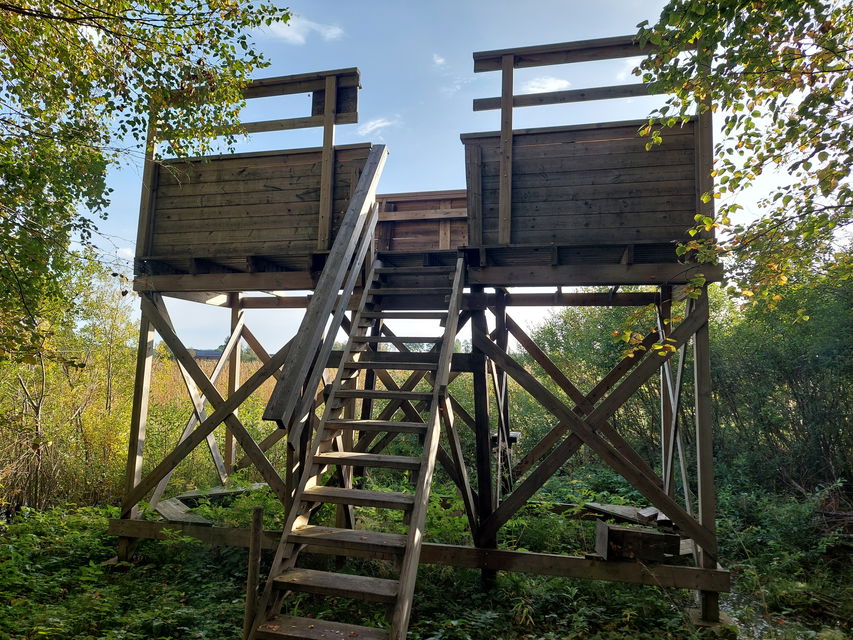 Fågeltorn