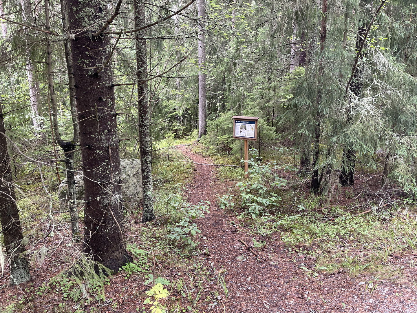 Informationstavla vid stig inne i en skog.