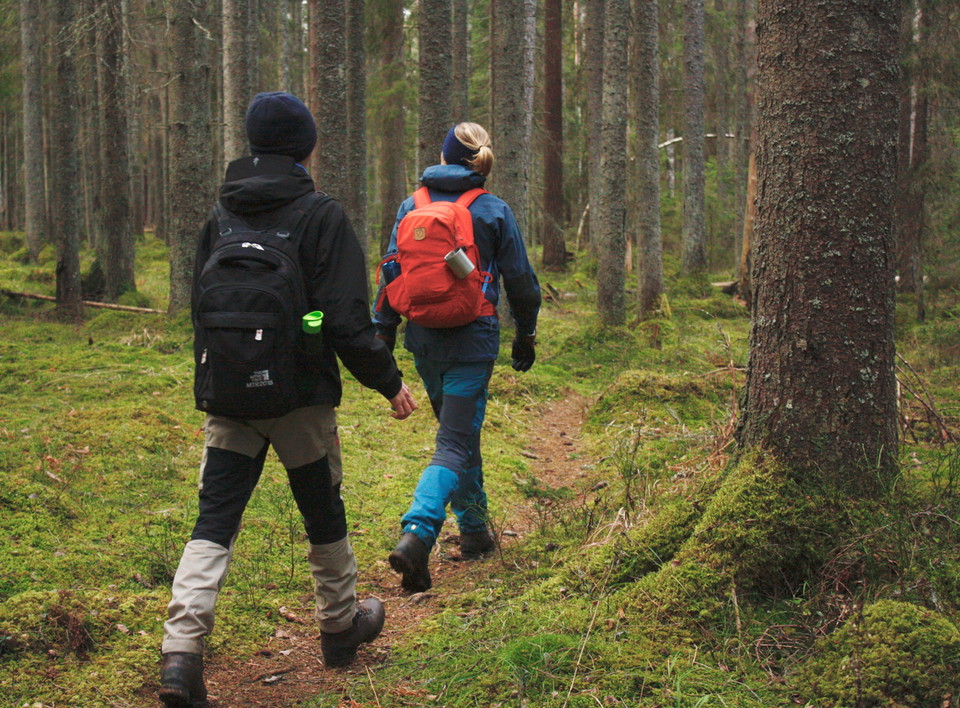 Till leden med buss eller tåg