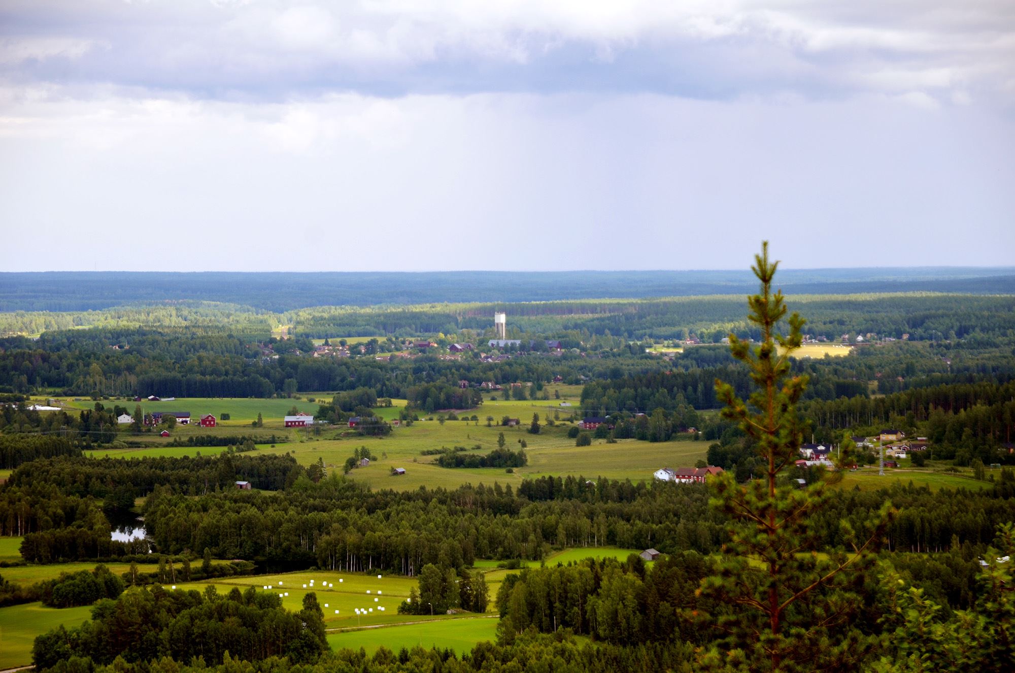 Vy från rönnåsen