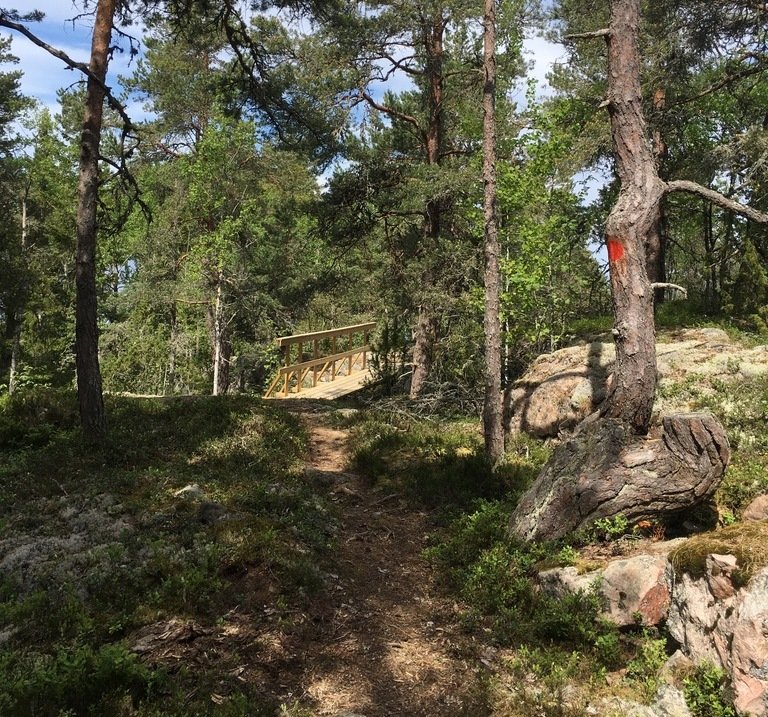 En smal, ojämn skogsstig leder fram till en liten plattform med högt handräcke. Vid stigen står en tall med röd markering på stammen.