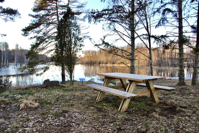 Rastplats, Törnerum-Ljungnäs, våtmark