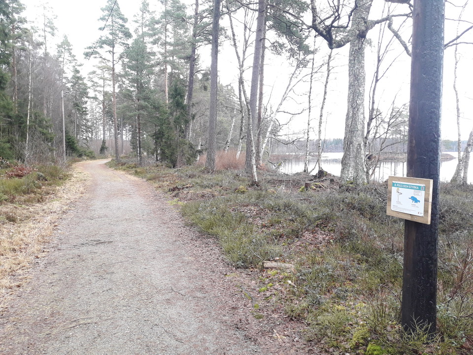 Sjönära spår