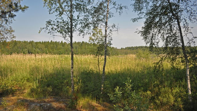 Riddersholm - utsiktsplats Kifjärden