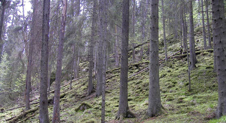 Viken, Naturreservat