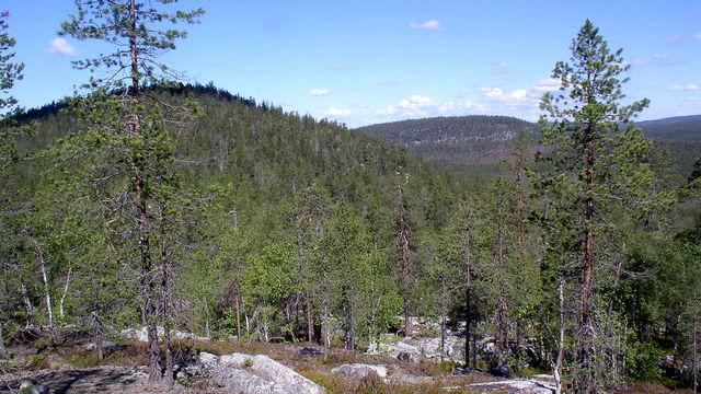 Gärdforsberget