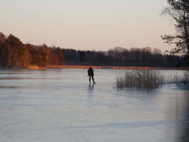 Gälkhyttedammen-skridskois