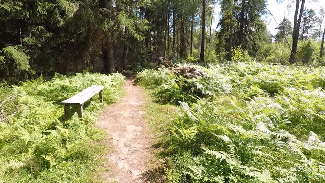 Rastplats, Lundholmen, Vakö myr