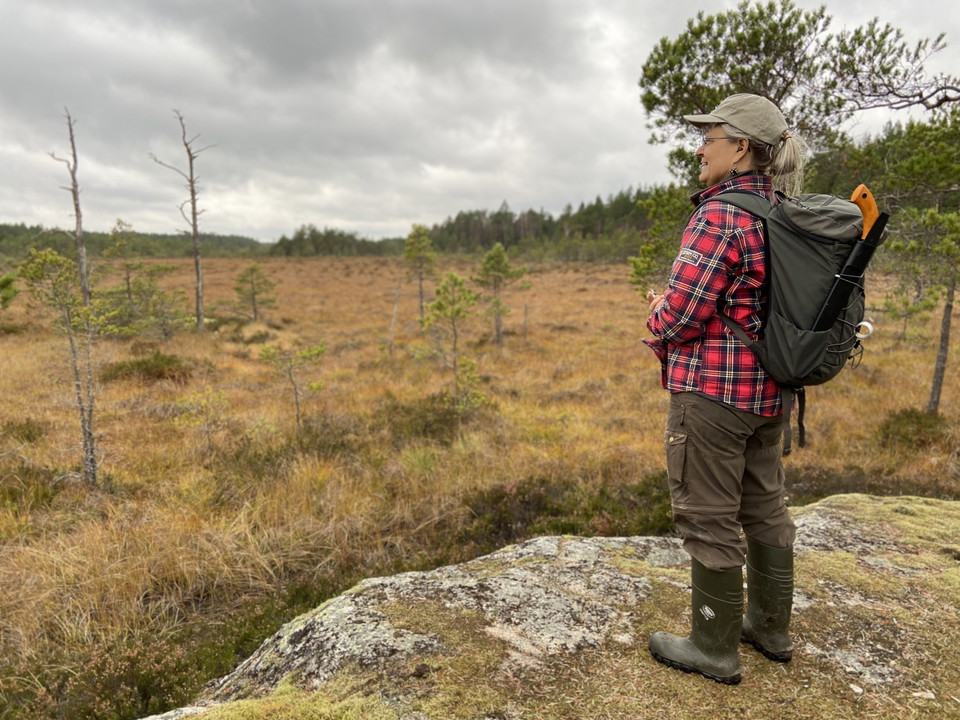 Utsikt över Ramsmossen.
