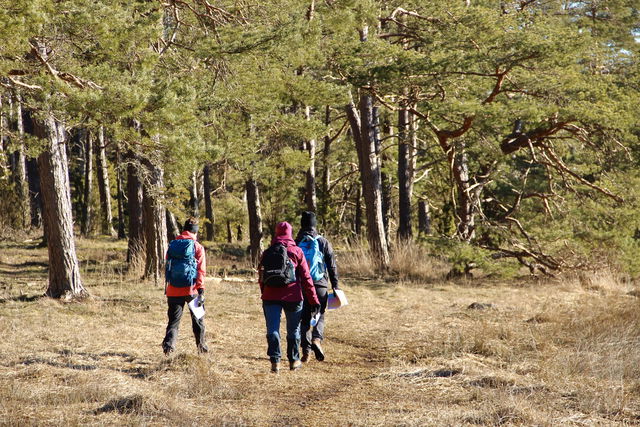 Ljungnäs – Törnerum