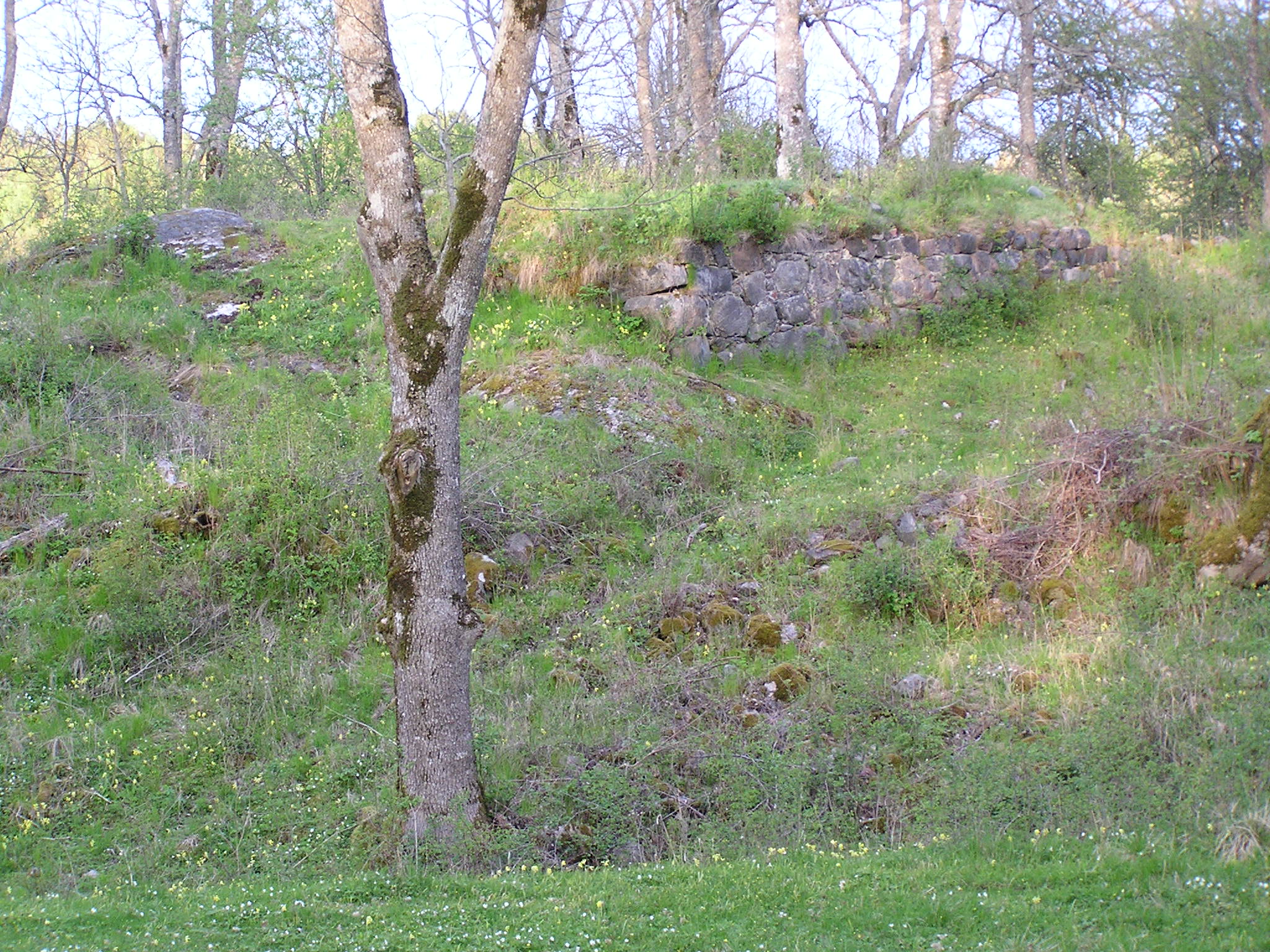 Fogelvik borgruin