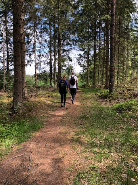 Personer vandrar på en stig i skogen, grönskande skog och en blå himmel