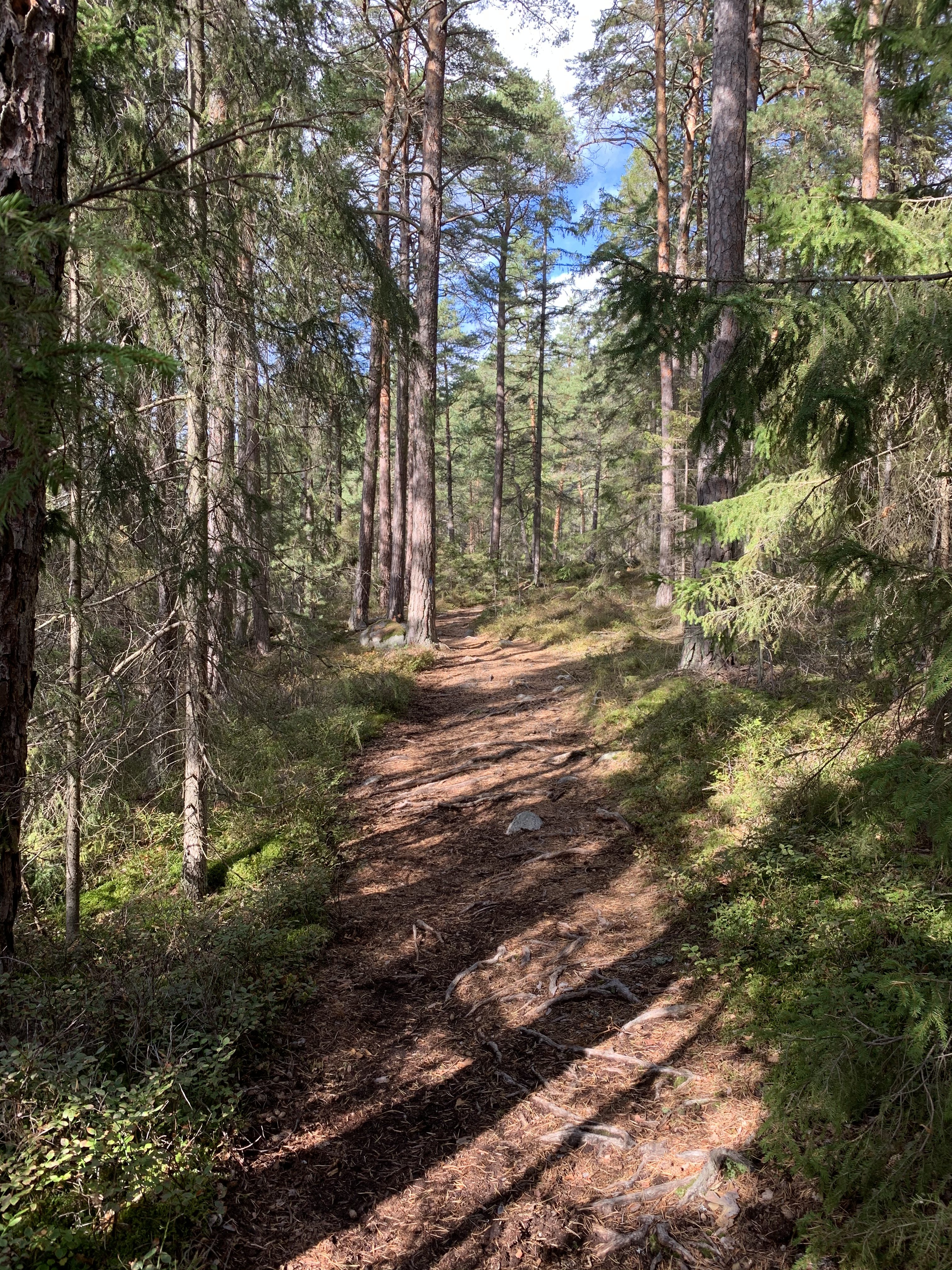 The Adelsöleden hiking trail passes through the reserve.