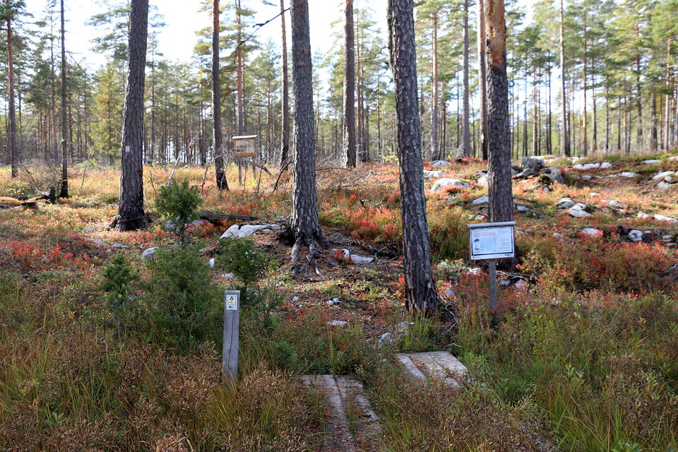Del av spång in mot myrholme. På fastmarken står två skyltar och det finns en stolpe med taiga-markering.