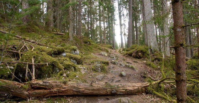 Sätravallen - Bjärka Säby, Östgötaleden