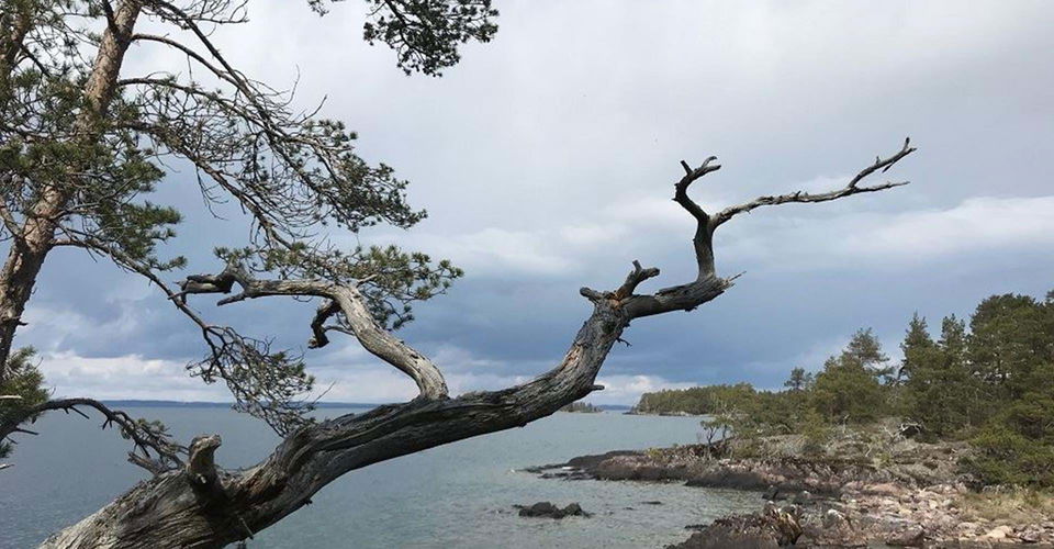 Västanvik rundslinga
Motala