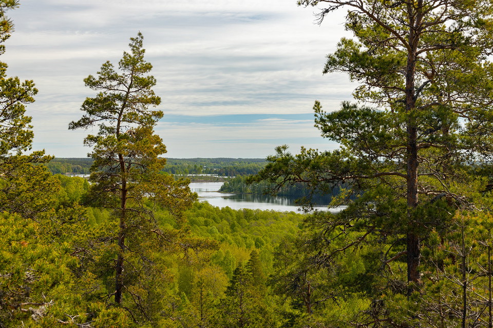 Foto: Fredrik Neregård