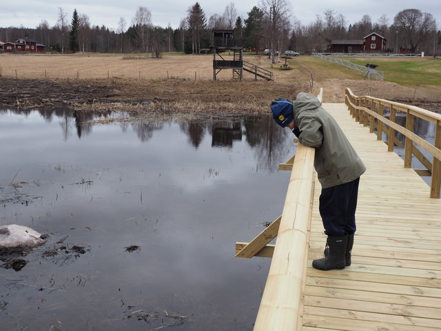 Hundhagen naturreservat