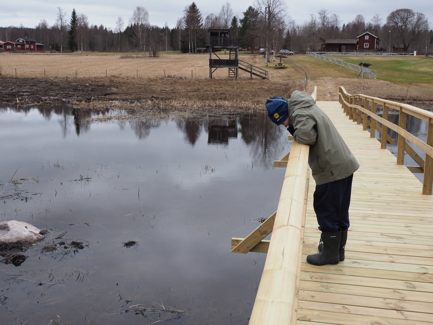 Gäddspaning från nya bron över till Millnäset