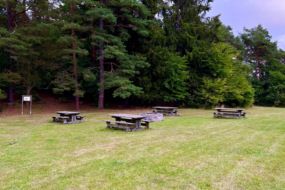 Fyra picknickbord runt en grill