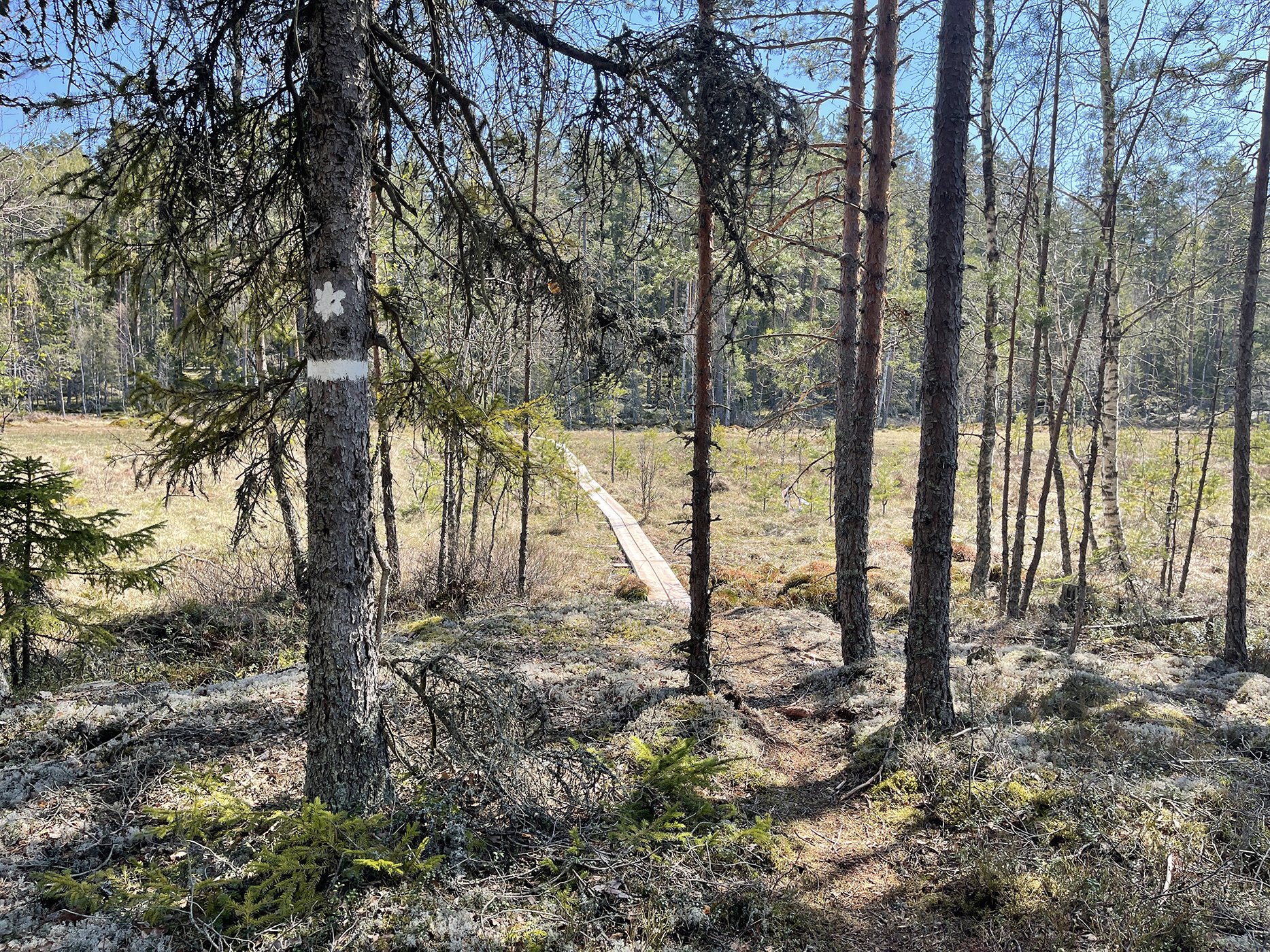 Vandringsled, Jan-Olsskogen och Ramnässkogen
