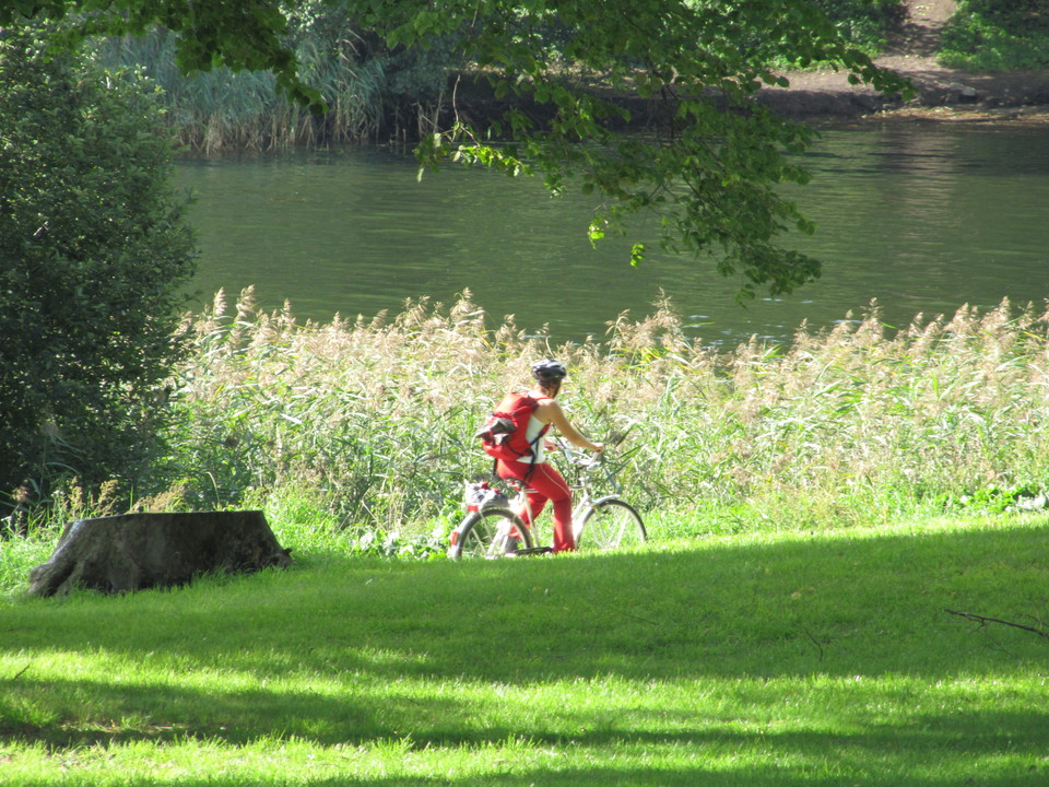 Brunnsviksrundan går genom Hagaparken.