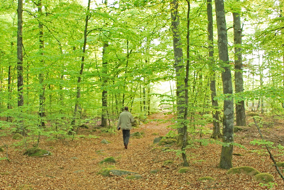 Fotograf: Tobias Ivarsson