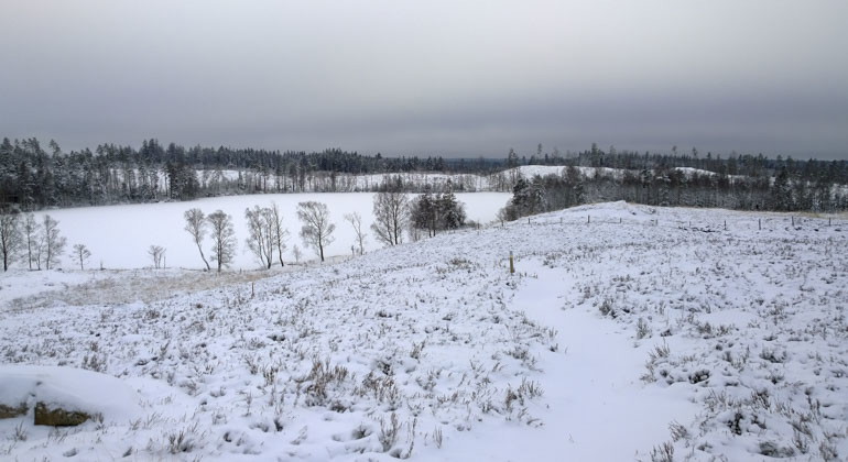 ljughed på vintern med snö över heden