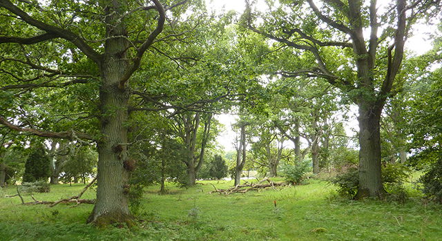 Almö, Naturreservat